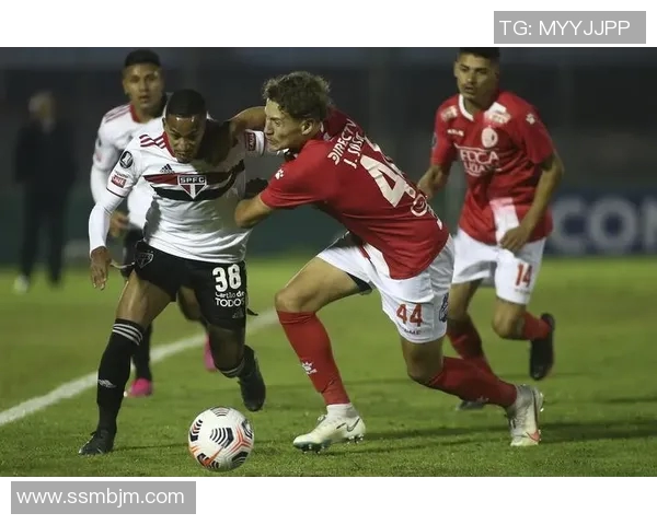 蒙得维的亚与博塔弗戈的激烈对决揭示南美足球的魅力与竞争力