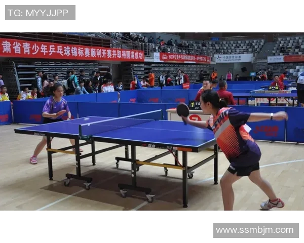 乒乓球战术解析与西安乒乓球队运营体系的创新探索 乒乓球战术解析与西安乒乓球队运营体系的创新探索