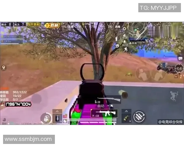 和平精英战术解析:TES战队如何构建高效反击体系与战术配合 和平精英战术解析:TES战队如何构建高效反击体系与战术配合