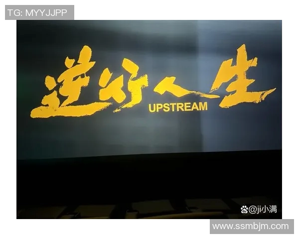 苏伟的成长之路：从平凡到卓越的奋斗故事与人生启示