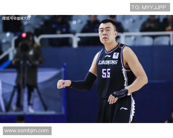 韩德君：从篮球场上的巨人到人生舞台的奋斗者之路