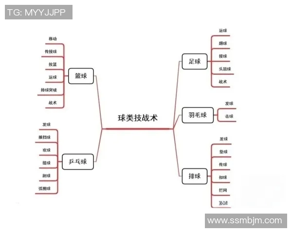 篮球新手必看：全面解析基础战术与实用技巧的入门指南